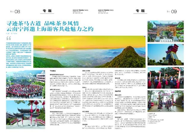 寻迹茶马古道，品味茶乡风情！云南宁洱邀上海游客共赴魅力之约