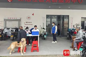 加强狂犬病防控，社区开展家犬集中免疫注射图片