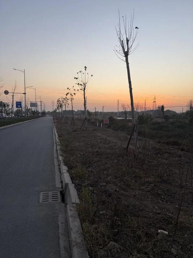 20岁小伙5天从上海徒步到杭州，走了35万多步，还捡到1000多元现金