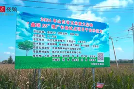 台儿庄：开在田地里的“种粮”分享会图片