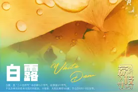 二十四节气之白露：晨起露白，秋韵渐浓图片