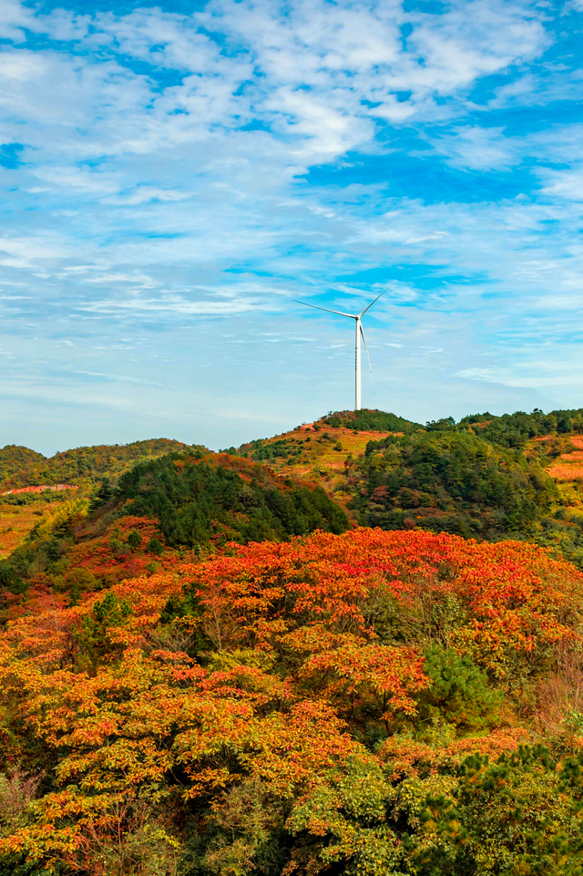 湖北有礼 | 免费领门票！打卡三峡红叶季，赴柴埠溪、百里荒金秋浪漫之约