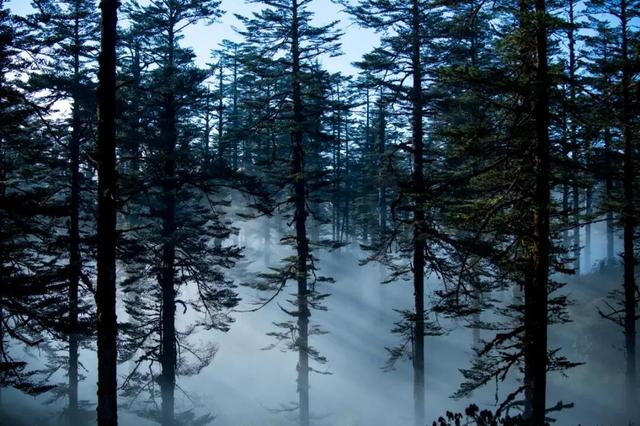 雨天瓦屋带点雾，恰似神仙在这住！