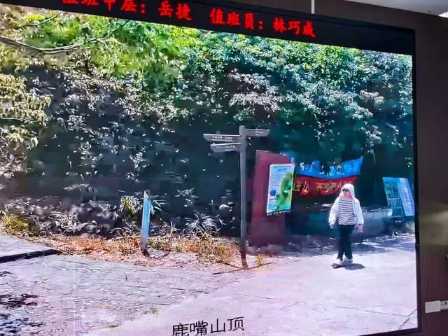 27岁男子在深圳望郎归登山失联已10天 当地：属未开发区域，台风暴雨多致救援难