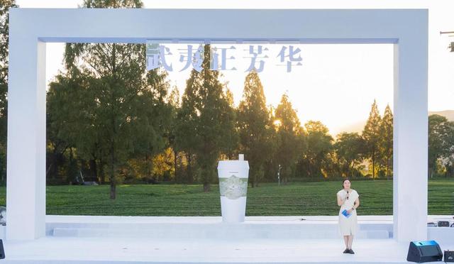 “三茶”统筹展新韵 人在草木品芳华 2025武夷山茶园文化季暨两山青年嘉年华在福建武夷山举行