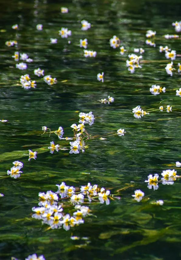 成立70周年!今天,用50图带你走进魅力瑶山