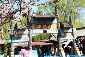 樱花开满春犹早，此间静待赏花人！济南五龙潭樱花节22日启幕图片