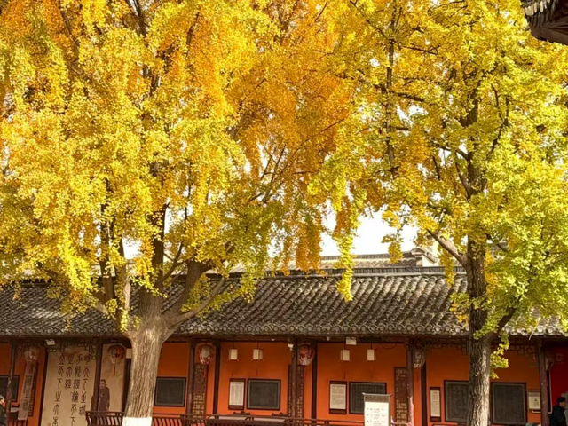 怎么能错过秦淮的秋天呢？