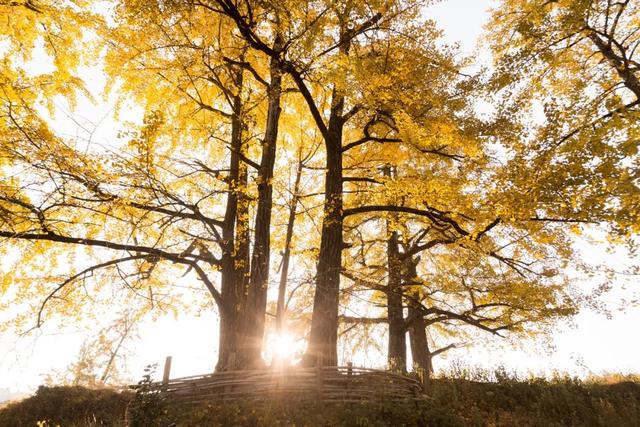 提到家乡韶关,张颂文就是那么“傲娇”!