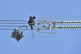 国资国企改革新布局图片