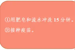女生被猫抓伤，男友用嘴吸伤口致三级暴露！详解关于狂犬病的数个误区图片