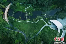 探访广州云溪植物园：岭南山水园林 植物保育乐土图片