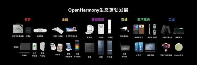 万字对话王成录：替代安卓，只是鸿蒙价值的不到5%