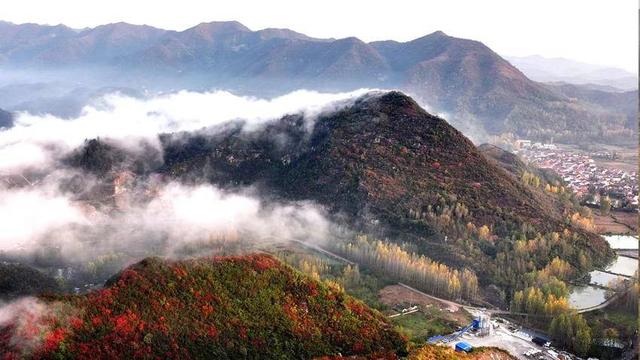 南漳：聚仙观顶望秋深 一笔胭脂染万岑