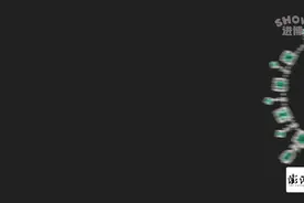 进博Show｜见证丘吉尔获诺奖的祖母绿钻石项链将亮相进博会图片