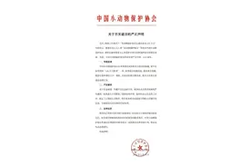 中国小动物保护协会严正声明！从未与潘宏有接触，辟谣100万元传言图片