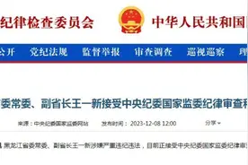 黑龙江省副省长王一新被查！四天前还在出席会议图片