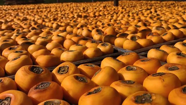 周末不忙，来趟平乐