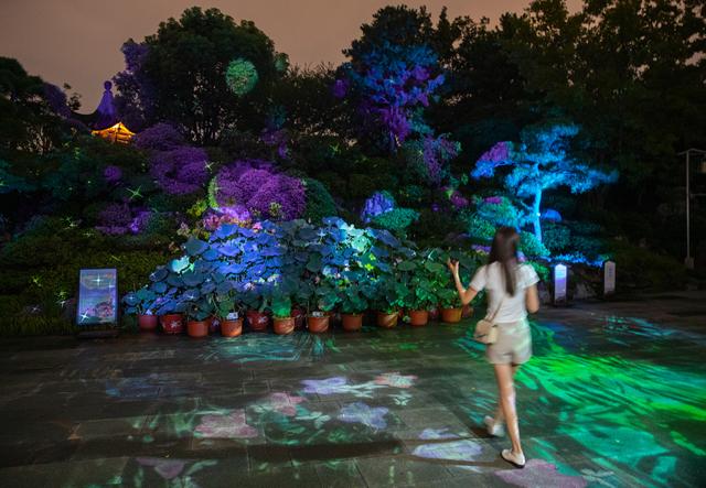 上海世博文化公园“璀璨之夜”开启，活动多多