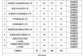 西咸新区（直管区）2024年民办中小学招生计划图片