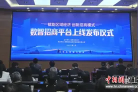 湖南数智招商平台上线 打破信息壁垒图片