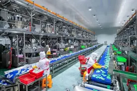 金融“料”助力海带“鲜”图片