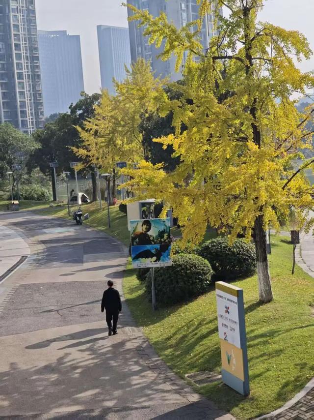 遇见丨开福上新色：捕捉开福黄调时刻