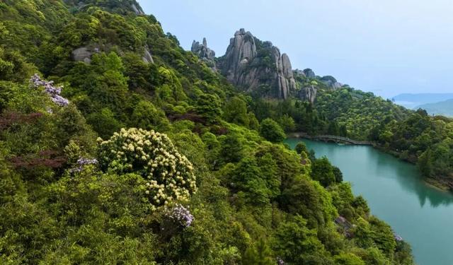 别辜负春天！4月宁德1景区进入颜值巅峰！快来赏花~