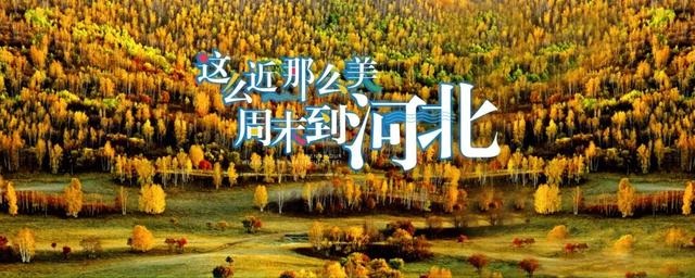 2025河北承德活力金秋旅游季正式启动——五大主题线路、15项活动诚意邀约四海游客