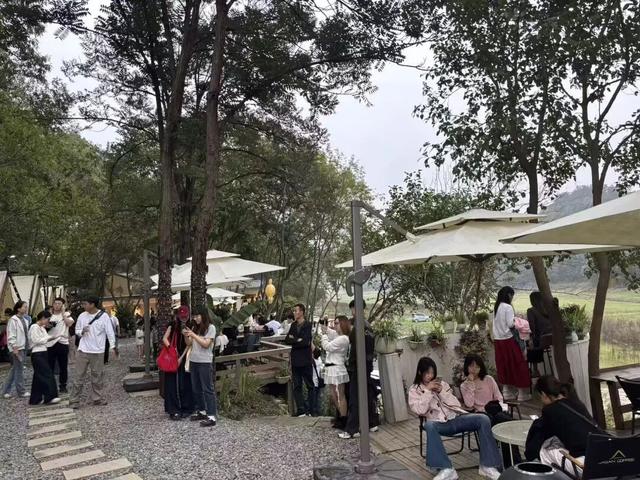 人气攀升！信阳文旅市场持续升温