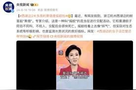 西湖边2米多高的黑烟是摇蚊柱，网友：虫子谈恋爱还带特效图片