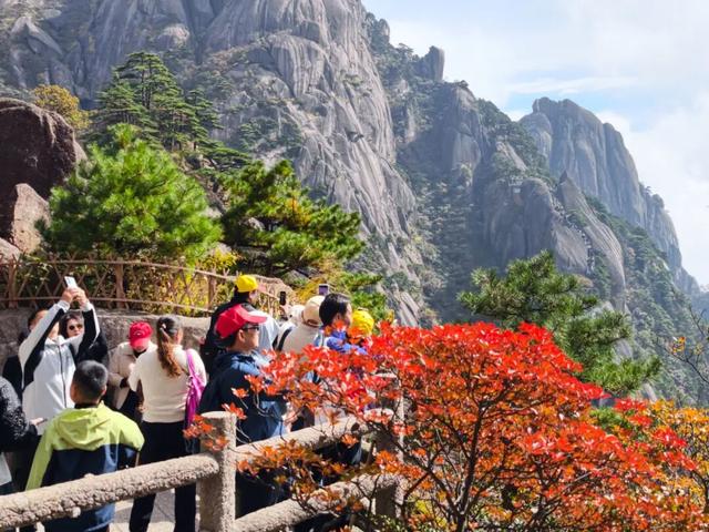 出片率100%！黄山风景区进入最佳赏秋期