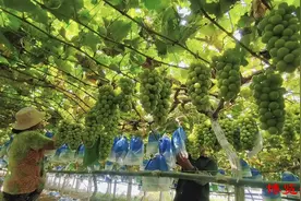 周村闲置资源焕新生！巧妙转化，助力居民增收致富！图片