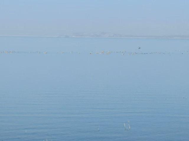 组图｜红崖山水库：邂逅一汪清冽 收藏冬日静美