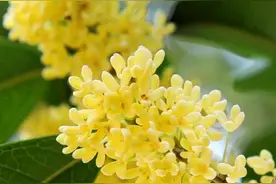 填补国内空白！咸宁发布最新标准图片