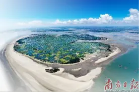北纬21°湛江滨海旅游活力迸发图片