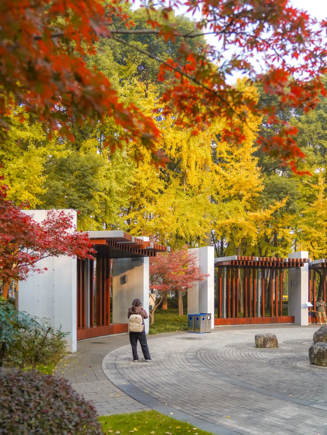 出站即是大片！上海秋日最美地铁站已上线→