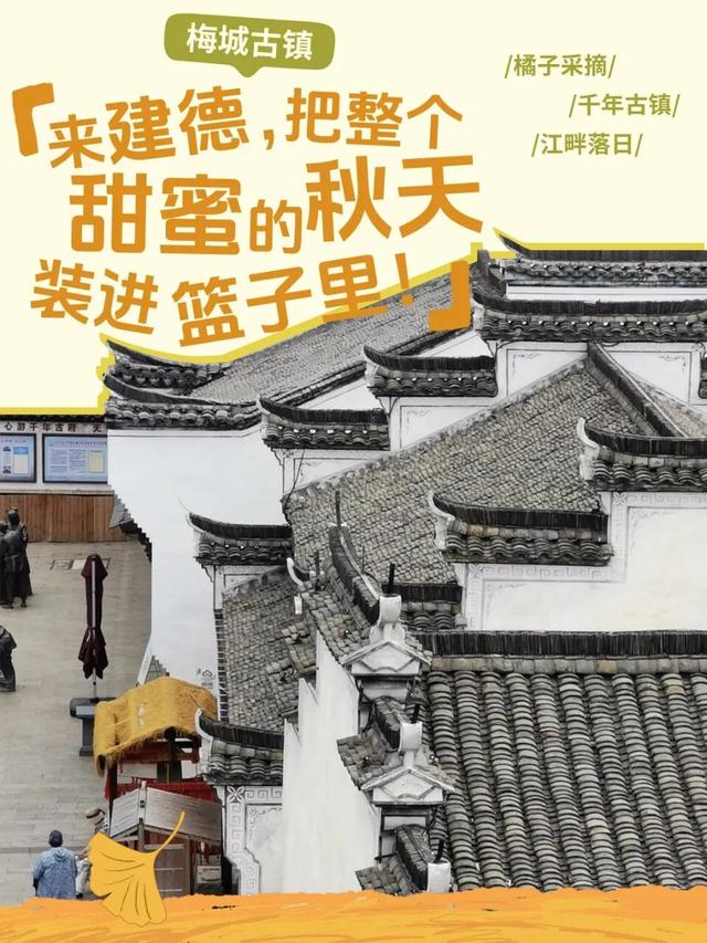 秋冬盛宴来袭，6条宝藏线路玩转杭城！