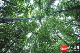 海南周刊丨林草种质“国库”落户海南屯昌图片