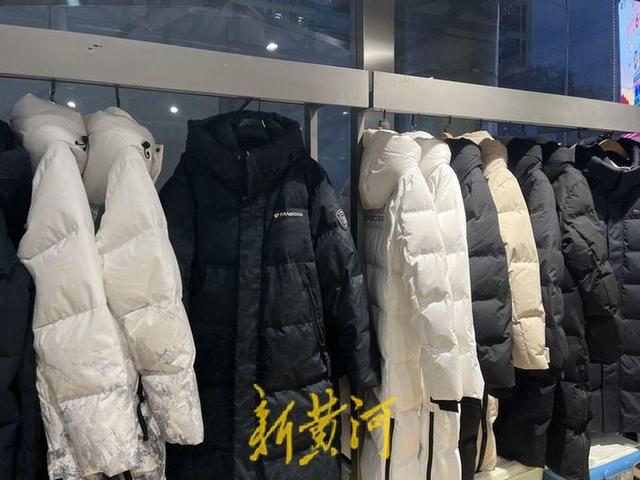 21年羽绒价格走势图 21年羽绒价格走势图最新