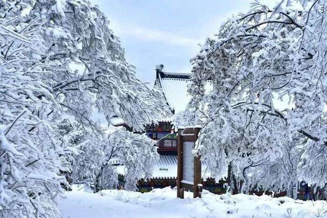 “洛阳怎么一下雪，就封神。”