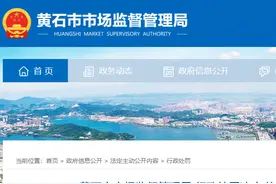 电梯未经监督检验运行使用，湖北凌飞机电工程有限公司被罚13万图片
