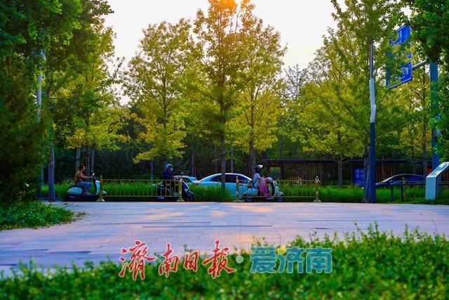 一年四季 泉在济南丨初秋黄昏 绘就绸带公园诗意画卷