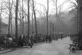 济南英雄山早市图片