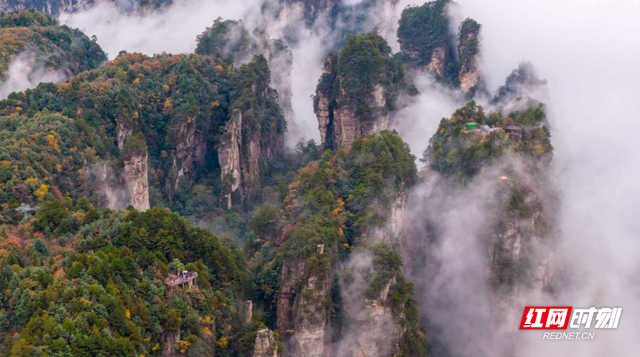 杨家界：峰墙云海织就秘境 地质奇观引游人沉醉