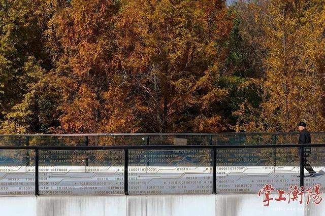 冬日衡阳，超浪漫！