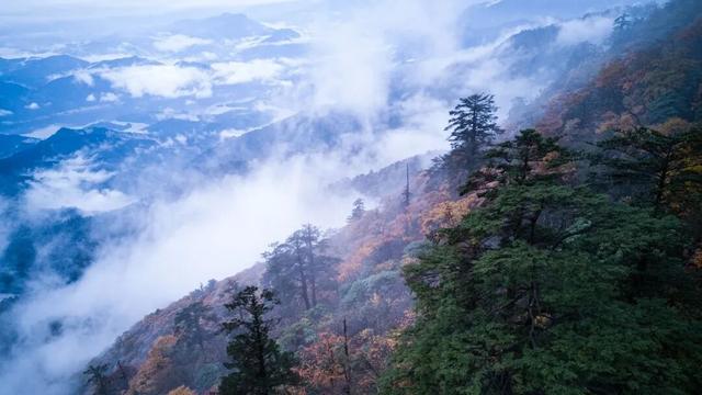 山下还是从从容容、游刃有余！绝望坡上却是匆匆忙忙、连滚带爬~