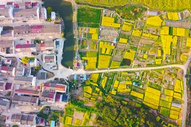 调查|我国县域人口主要变动趋势图片