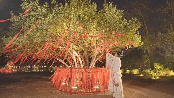 报！龙亭区又上新了~