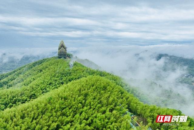 携来山水请柬、烟火热忱 雪峰山旅游联盟向全球发出邀约